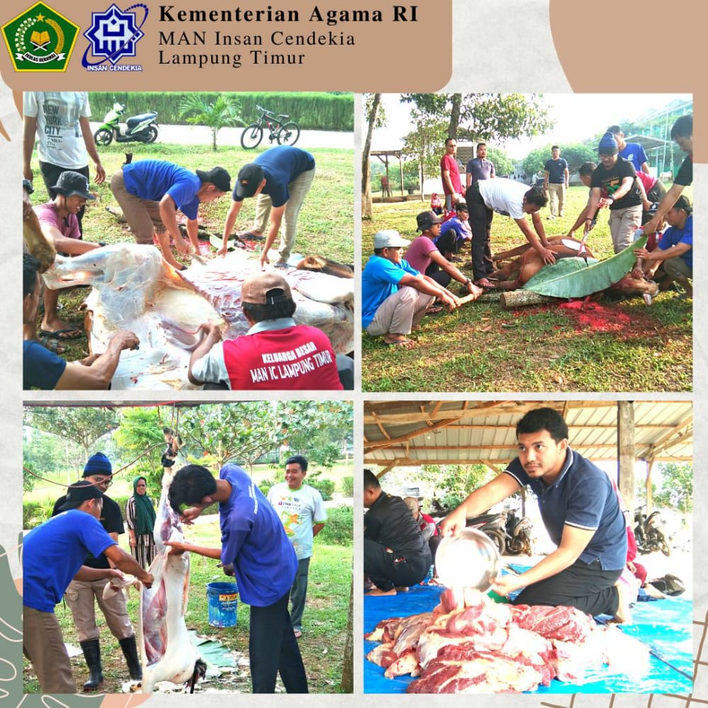 Rayakan Idul Adha 1443 H, GTK MAN IC Lamtim Laksanakan Ibadah Kurban