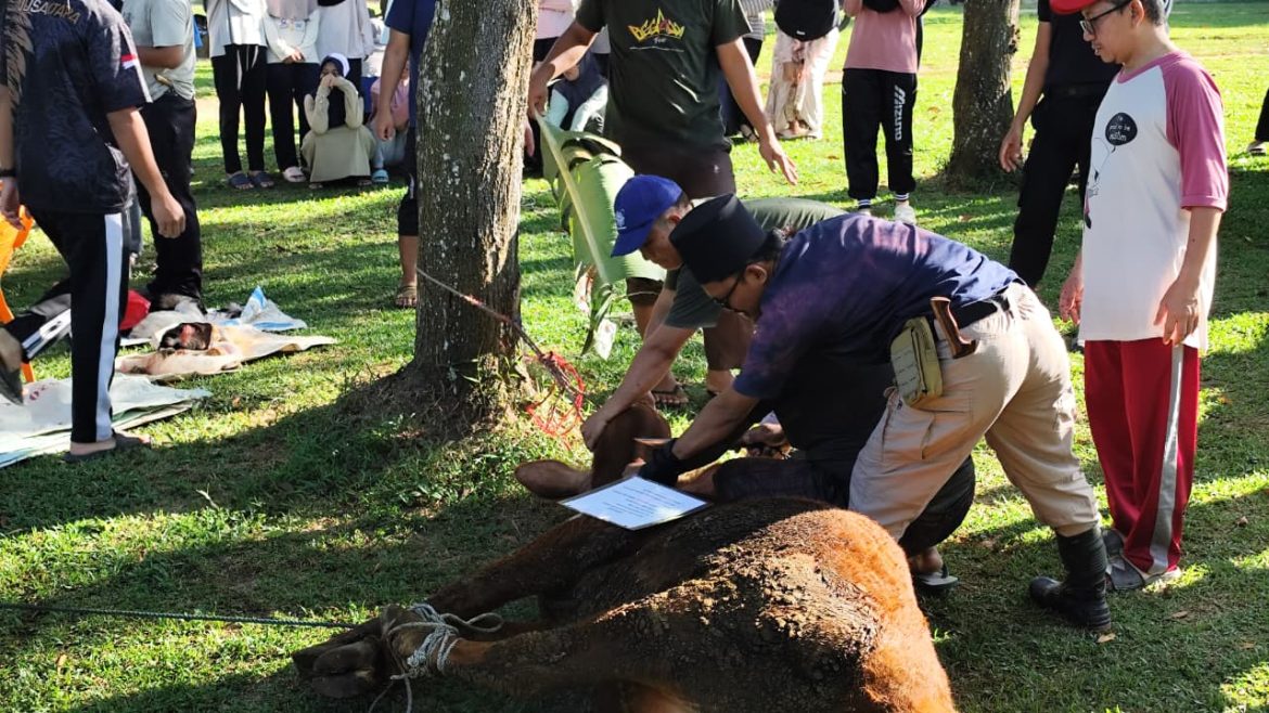 MAN IC Lampung Timur Gelar Kurban 2026, Tebarkan Semangat Keikhlasan dan Kepedulian Sosial